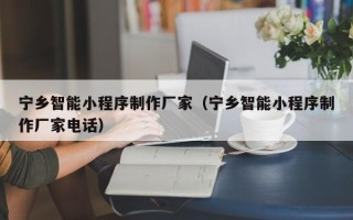 南阳宁乡智能小程序制作厂家（宁乡智能小程序制作厂家电话）