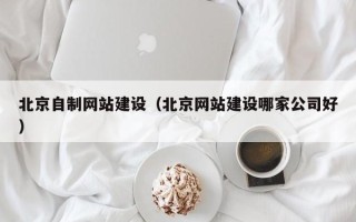 南阳北京自制网站建设（北京网站建设哪家公司好）
